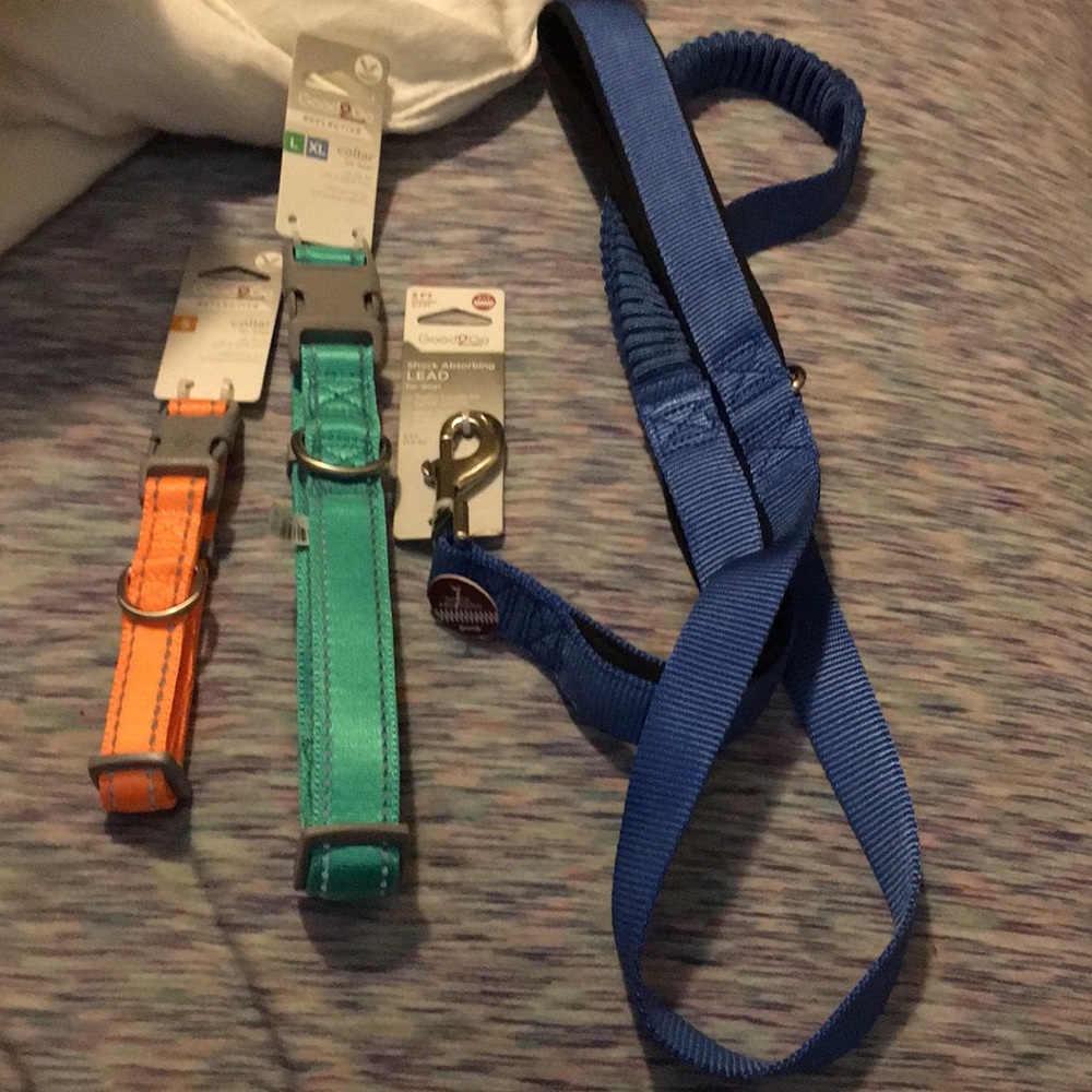 2 collars and a leash